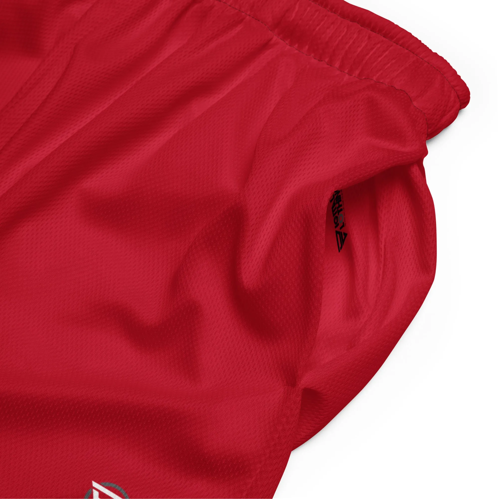 Air 23 Unisex mesh shorts