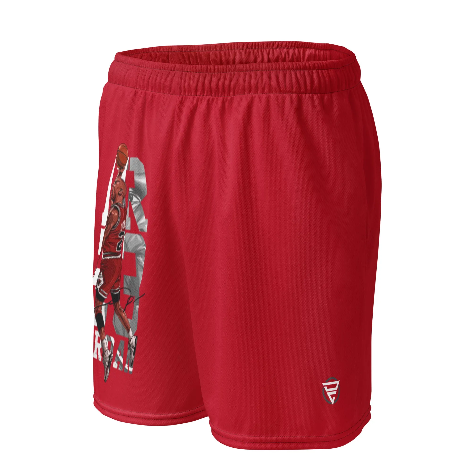 Air 23 Unisex mesh shorts