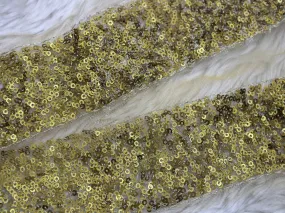 Antique Golden Sequins Work Embroidered Border