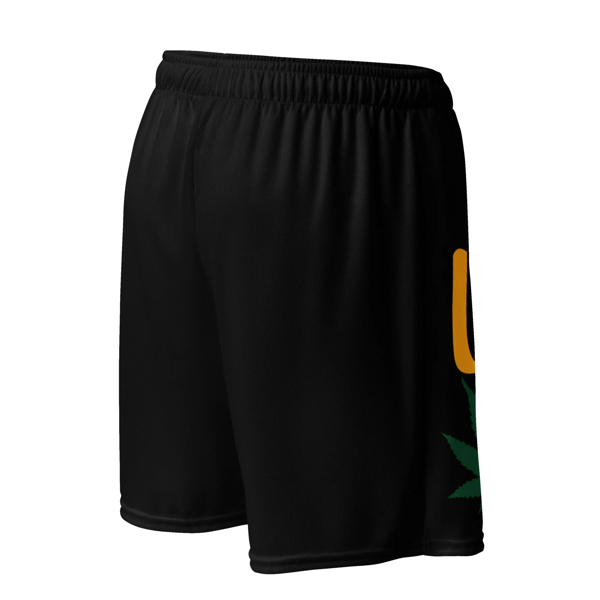 Love Unisex mesh shorts
