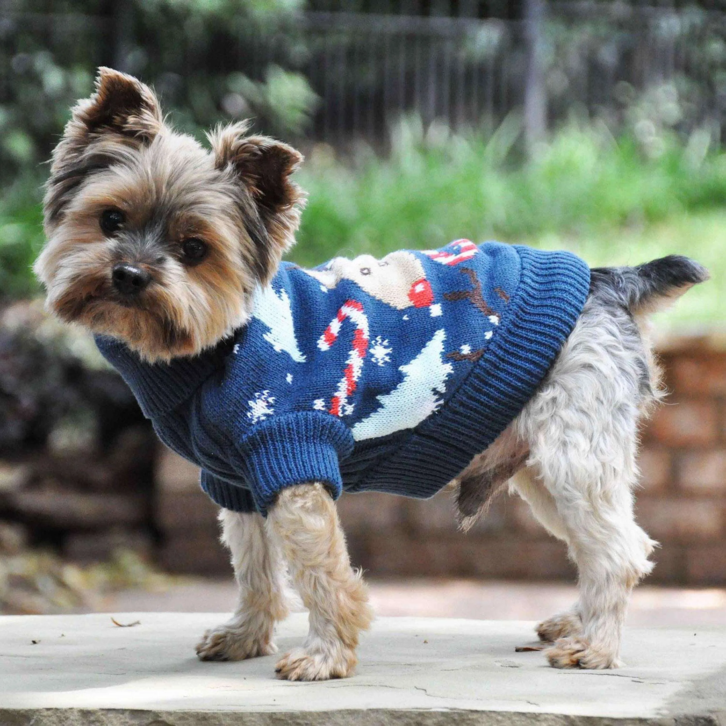 Ugly Knit Sweater | Reindeer